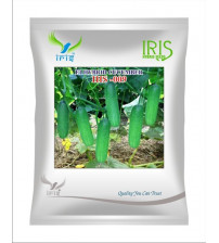 Cucumber / Kakri F1 Iris IHS-009 - 20 grams